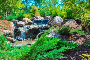 Relax in the Waterfall Courtyard - Luxury Apartments in Durham, NC