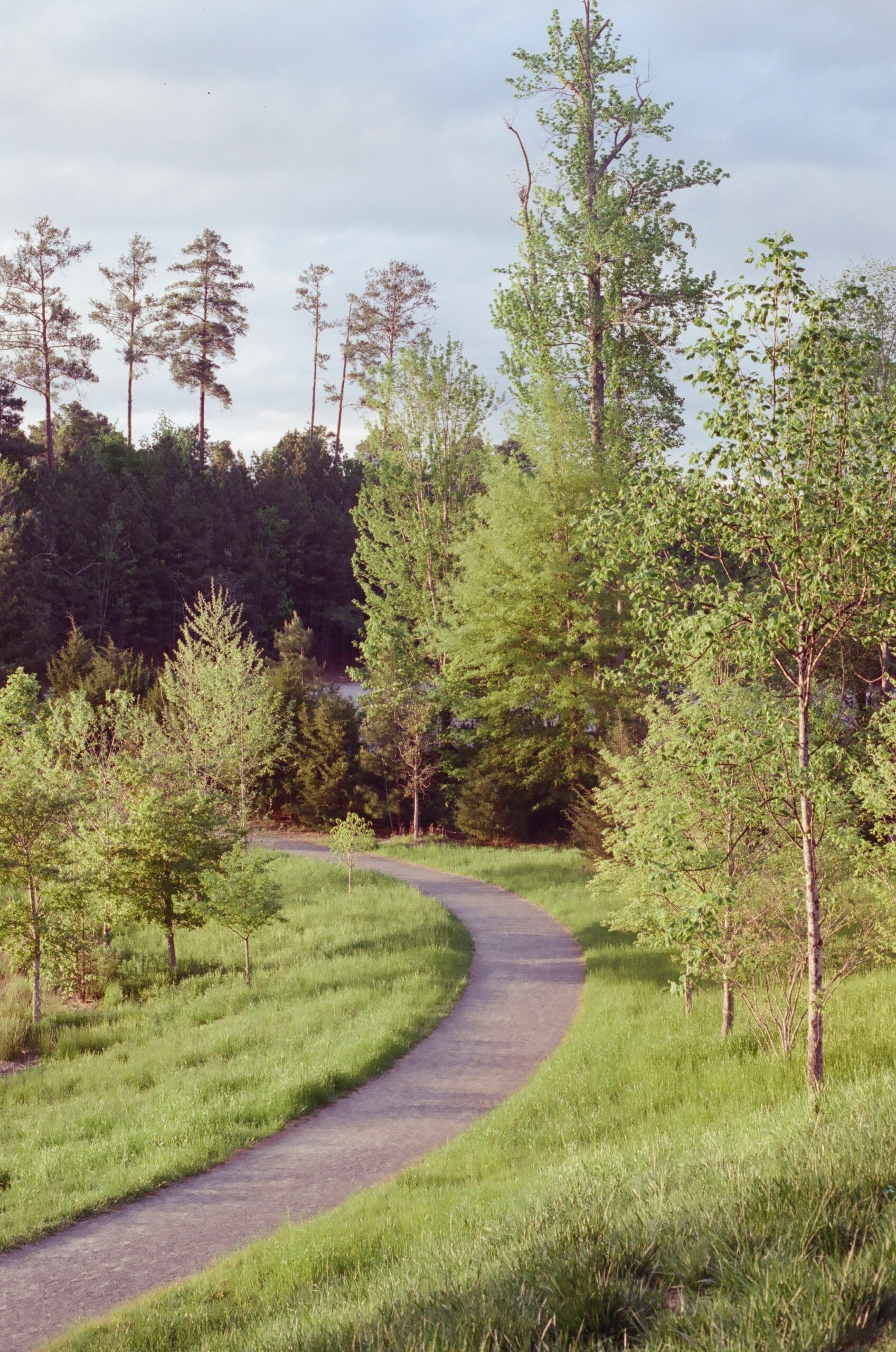 Apartments at Palladian Place in Durham, NC with nearby parks and walking paths with a footbridge and joggers