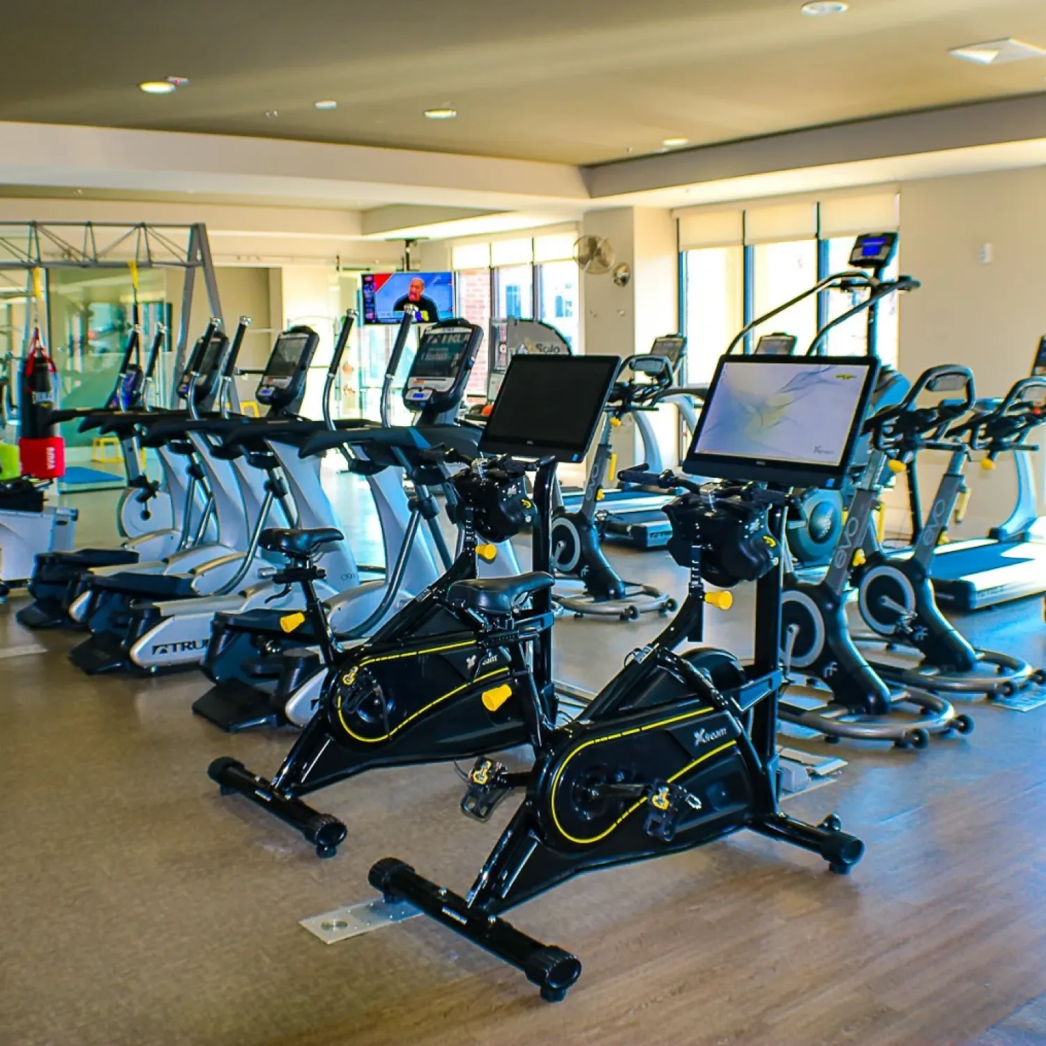 Apartments at Palladian Place fitness center equipment