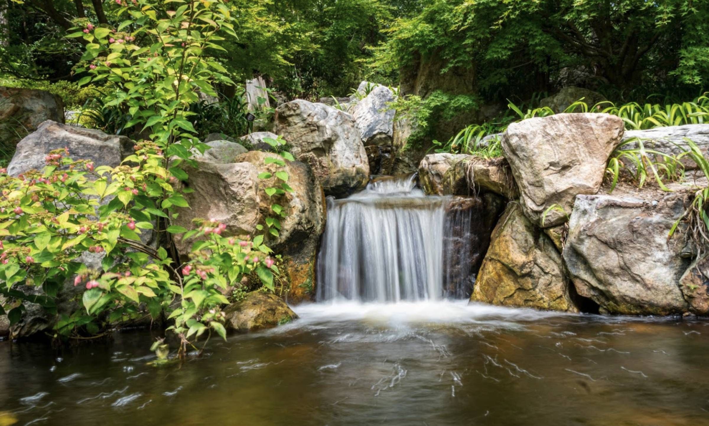 Apartments at Palladian Place in Durham, NC with nearby natural spaces and creeks