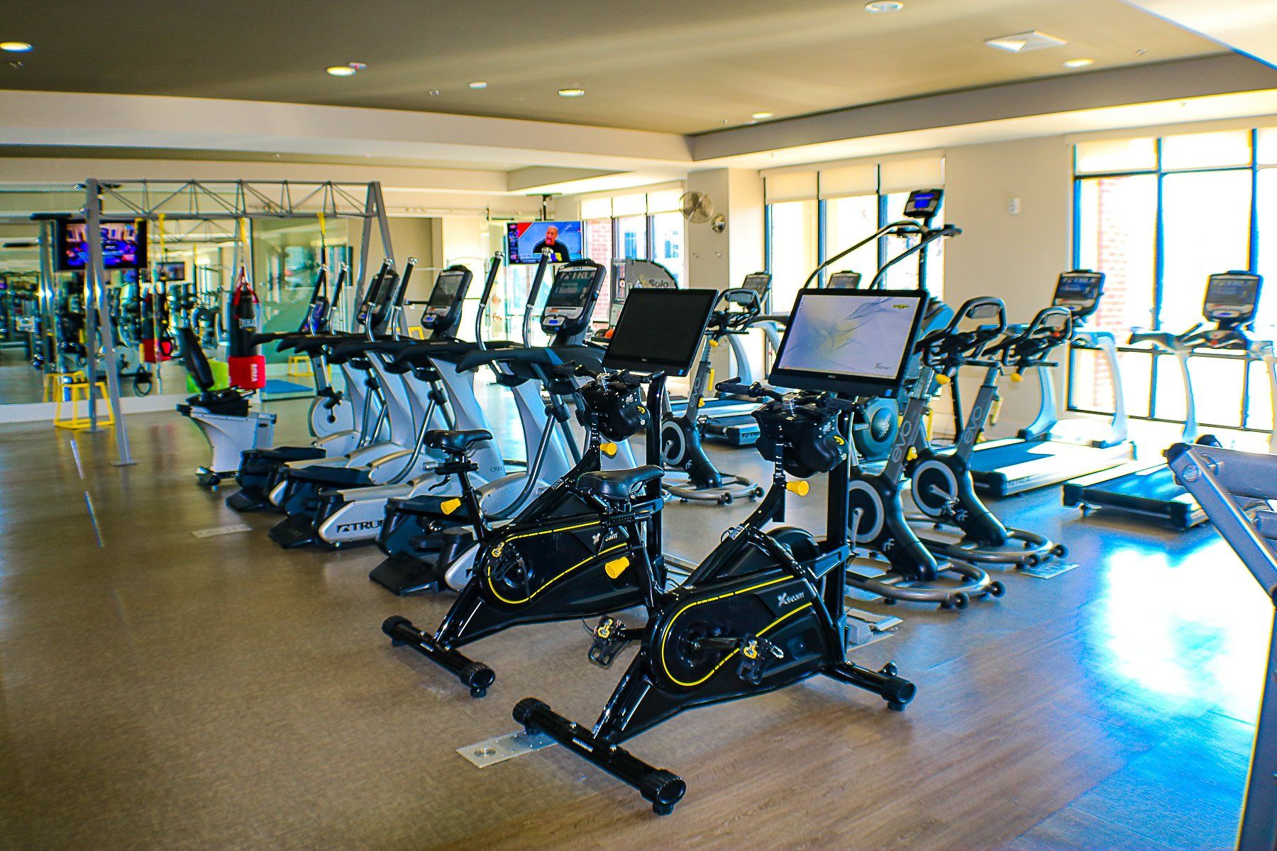 Apartments at Palladian Place fitness center equipment