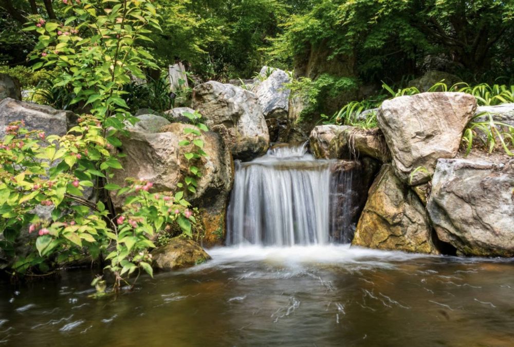 Apartments at Palladian Place in Durham, NC with nearby natural spaces and creeks