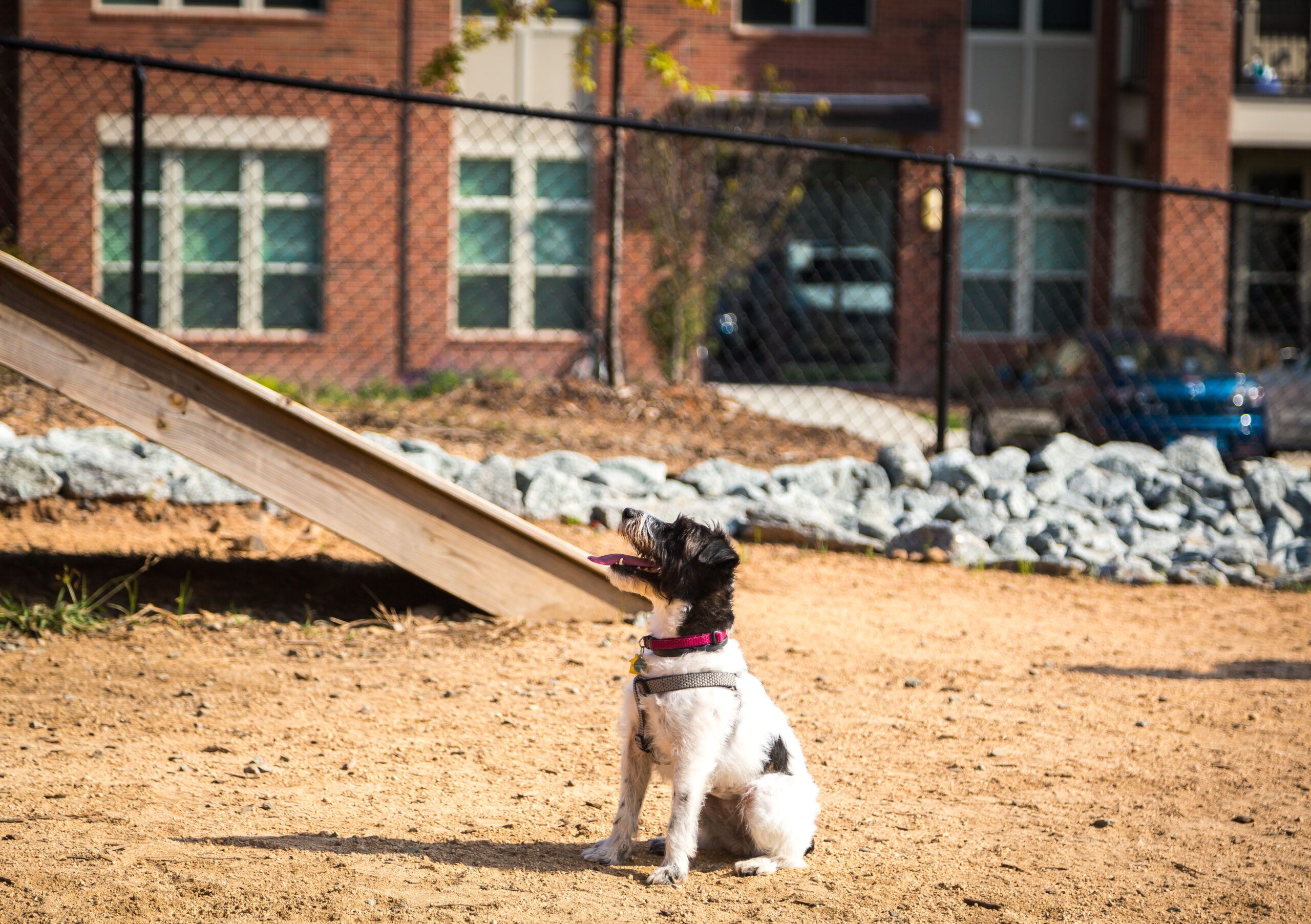 Apartments at Palladian Place with Durham’s largest dog park at half an acre