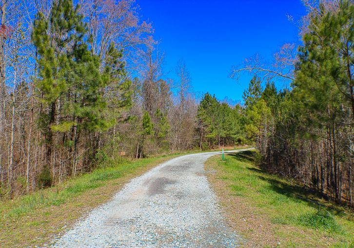 Apartments at Palladian Place in Durham, NC with nearby nature and walking trails